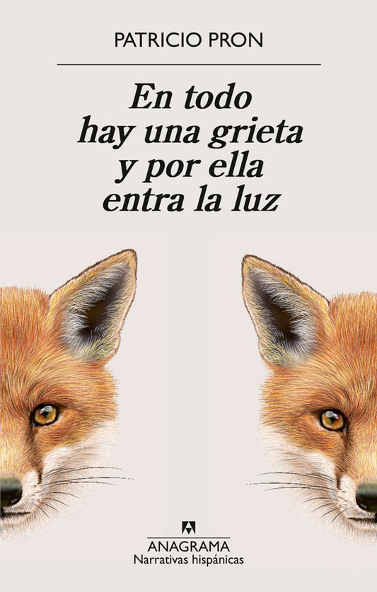 En todo hay una grieta y por ella entra la luz