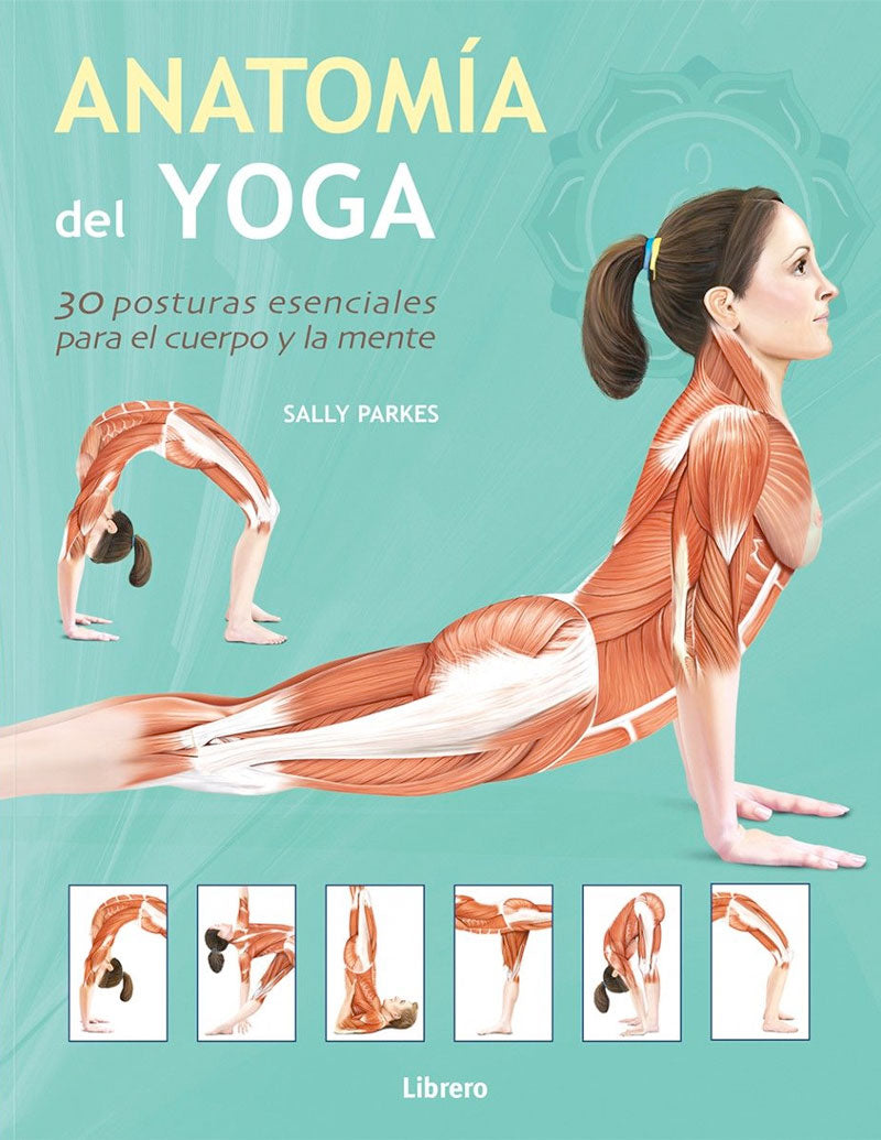 Anatomía del yoga