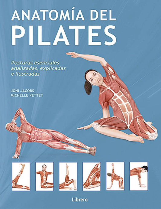 Anatomía del pilates
