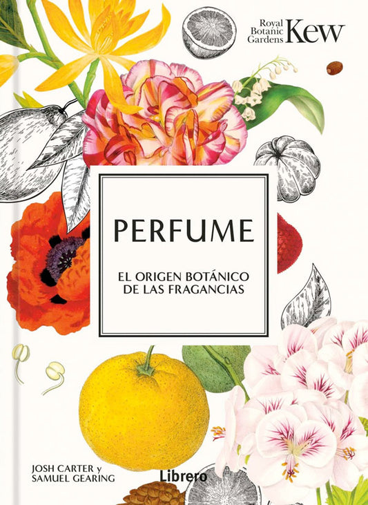 Perfume