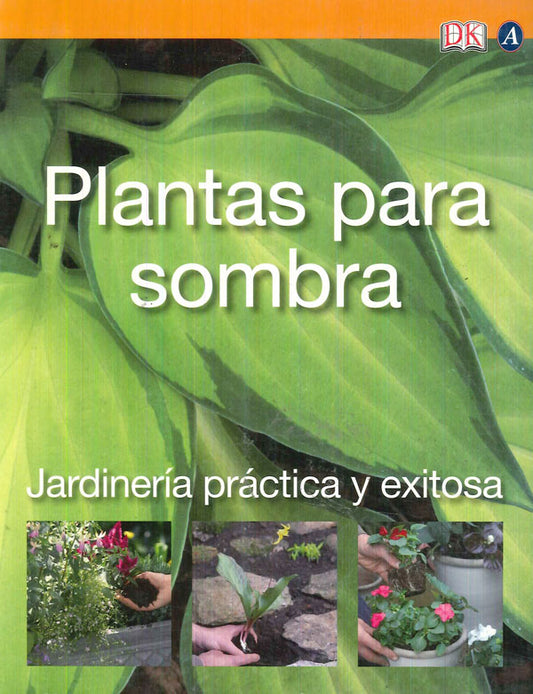 Plantas para sombra