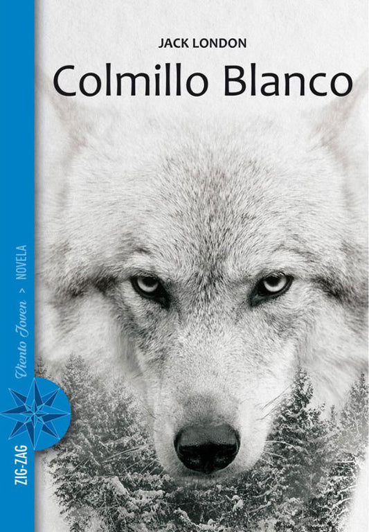 Colmillo blanco