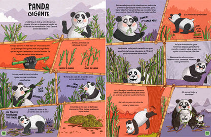 La vida salvaje de los animales