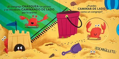 Chasquea fuerte como un cangrejo! Acciones animales