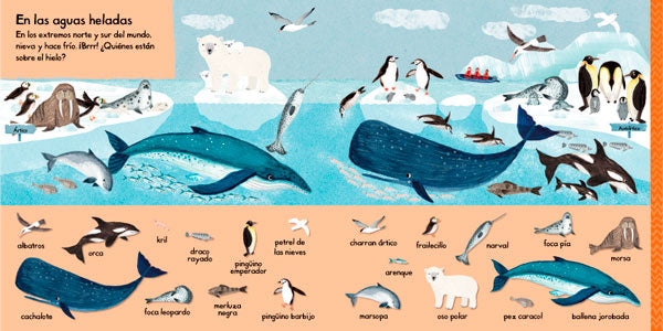 101 criaturas marinas para descubrir