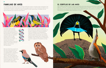 Enciclopedia de las aves