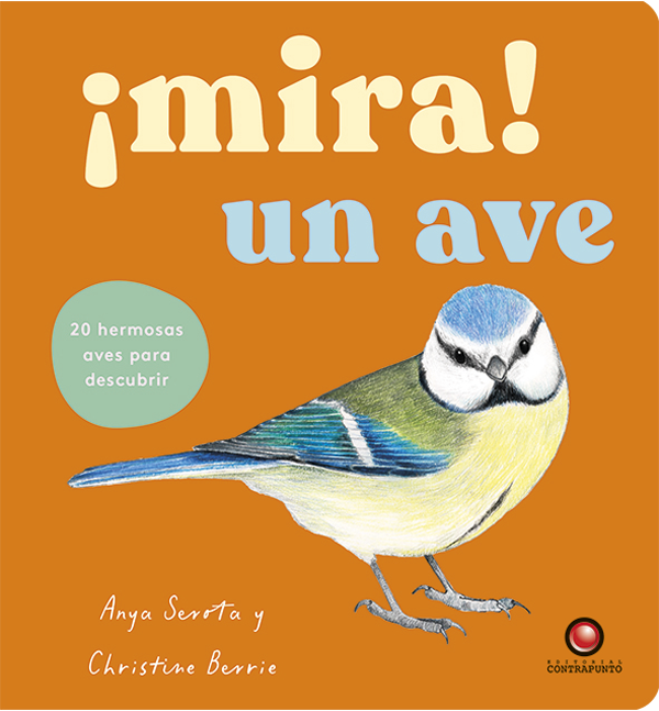 Mira! Un ave