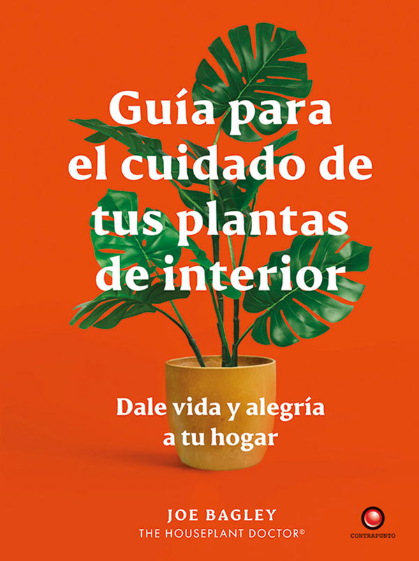 Guía para el cuidado de tus plantas de interior