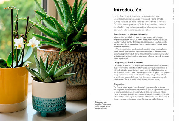 Guía para el cuidado de tus plantas de interior