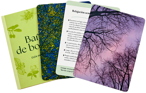 Baño de bosque. 50 cartas para conectar con la naturaleza