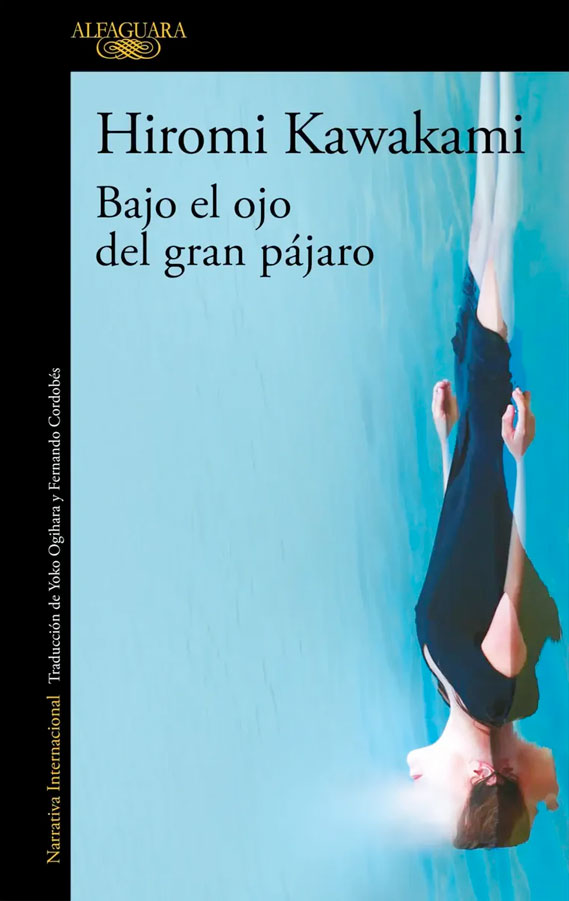 Bajo el ojo del gran pájaro