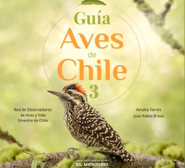 Guía aves de Chile