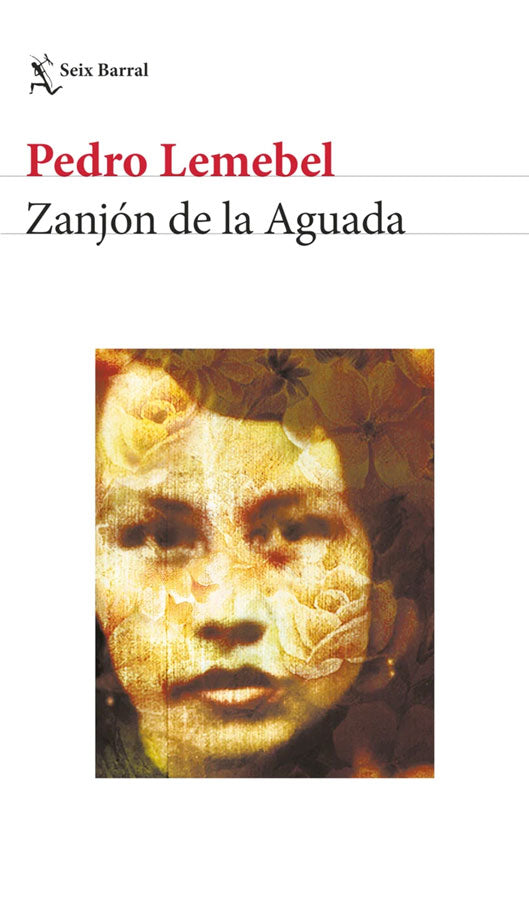 Zanjón de la aguada