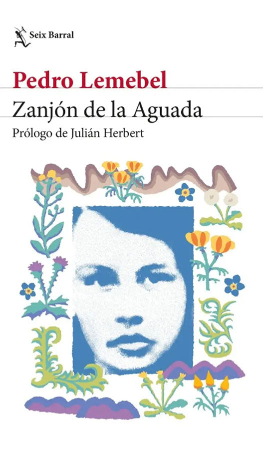Zanjón de la aguada