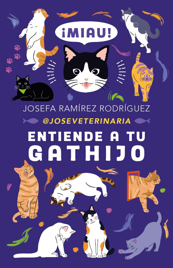 [PREVENTA] Entiendo a tu gathijo