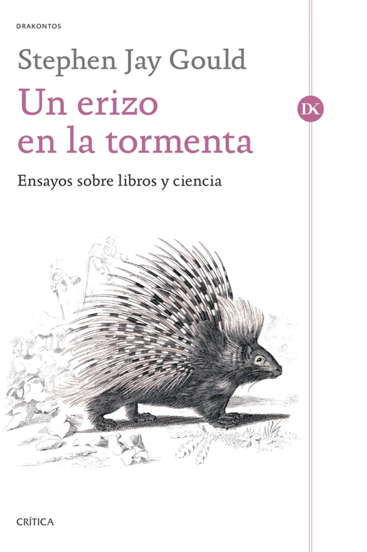 Un erizo en la tormenta