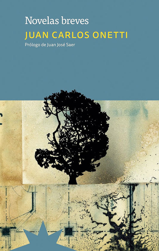 Novelas breves