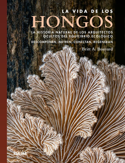 La vida de los hongos