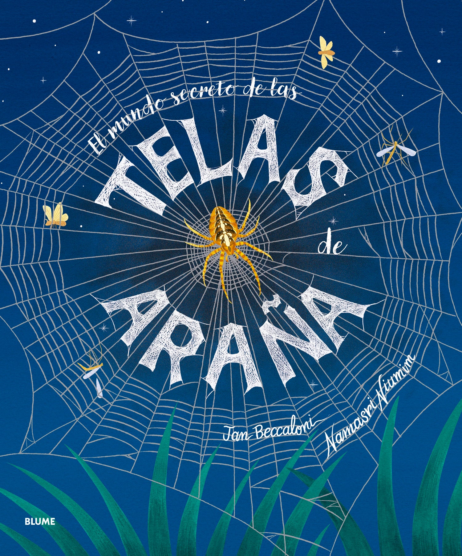 El mundo secreto de las telas de araña
