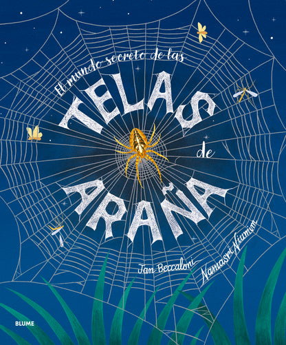 El mundo secreto de las telas de araña