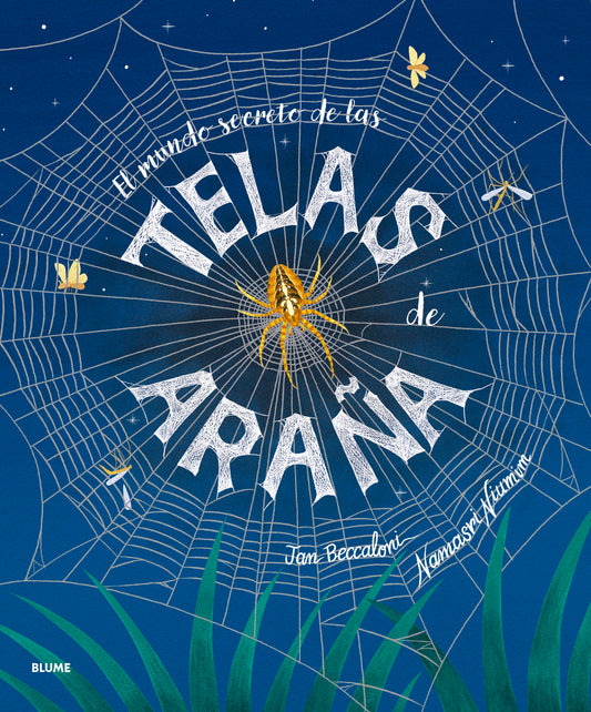 El mundo secreto de las telas de araña