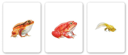 Familias animales. Juego de memoria