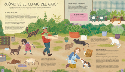Un mundo de gatos