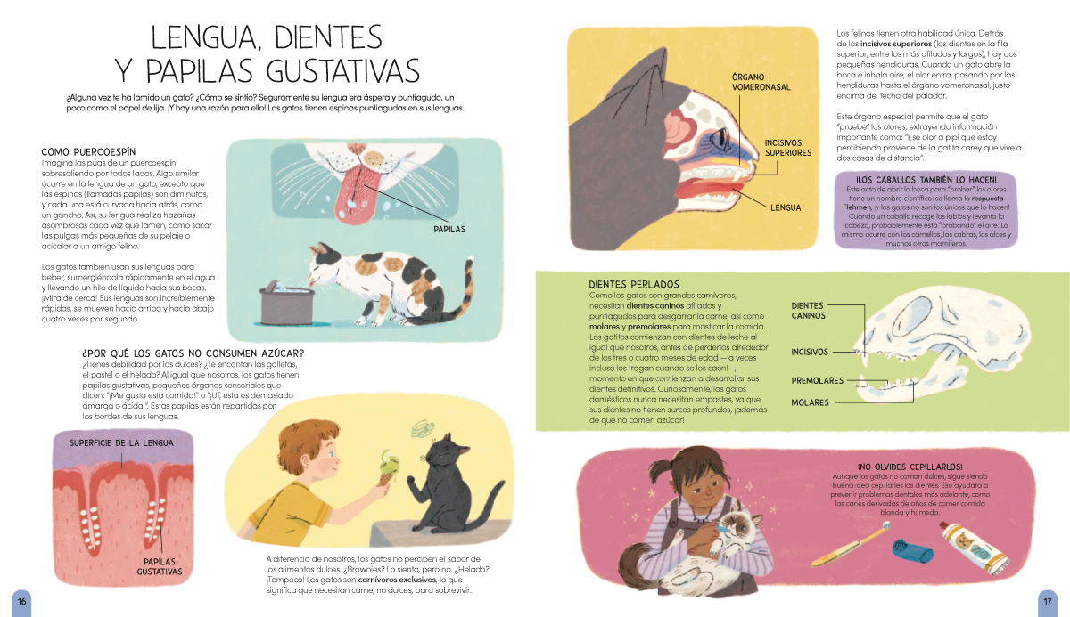 Un mundo de gatos