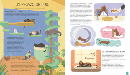 Un mundo de gatos