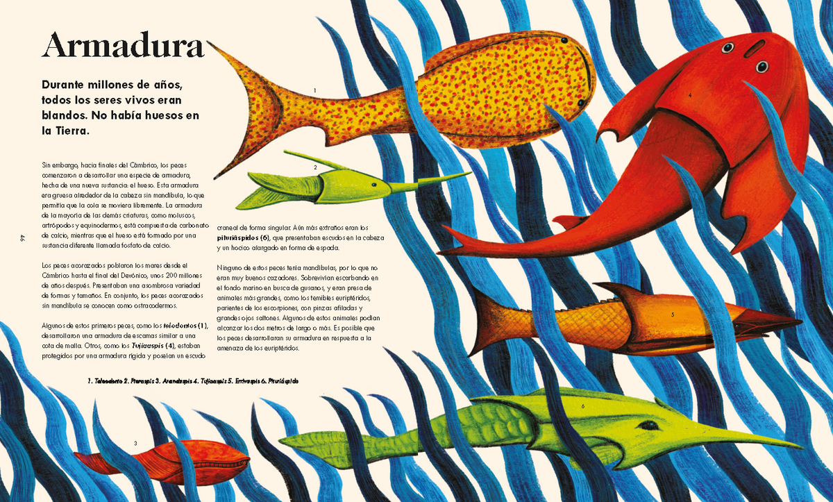 Las maravillas de la vida en la tierra