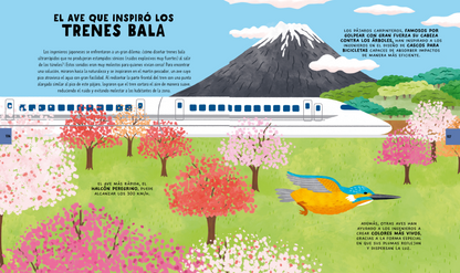 El gran libro de los conocimientos científicos