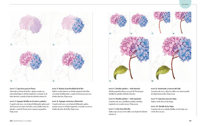 Mariposas y flores. Aprende a pintar con acuarela