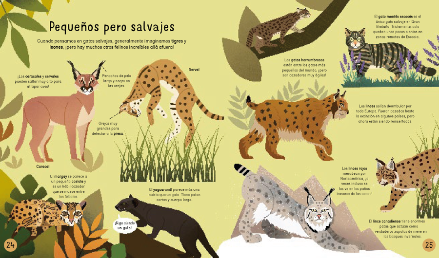 Gatos! ¡Gatos! ¡Gatos!