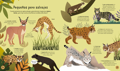 Gatos! ¡Gatos! ¡Gatos!