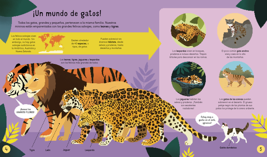 Gatos! ¡Gatos! ¡Gatos!