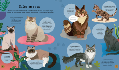 Gatos! ¡Gatos! ¡Gatos!