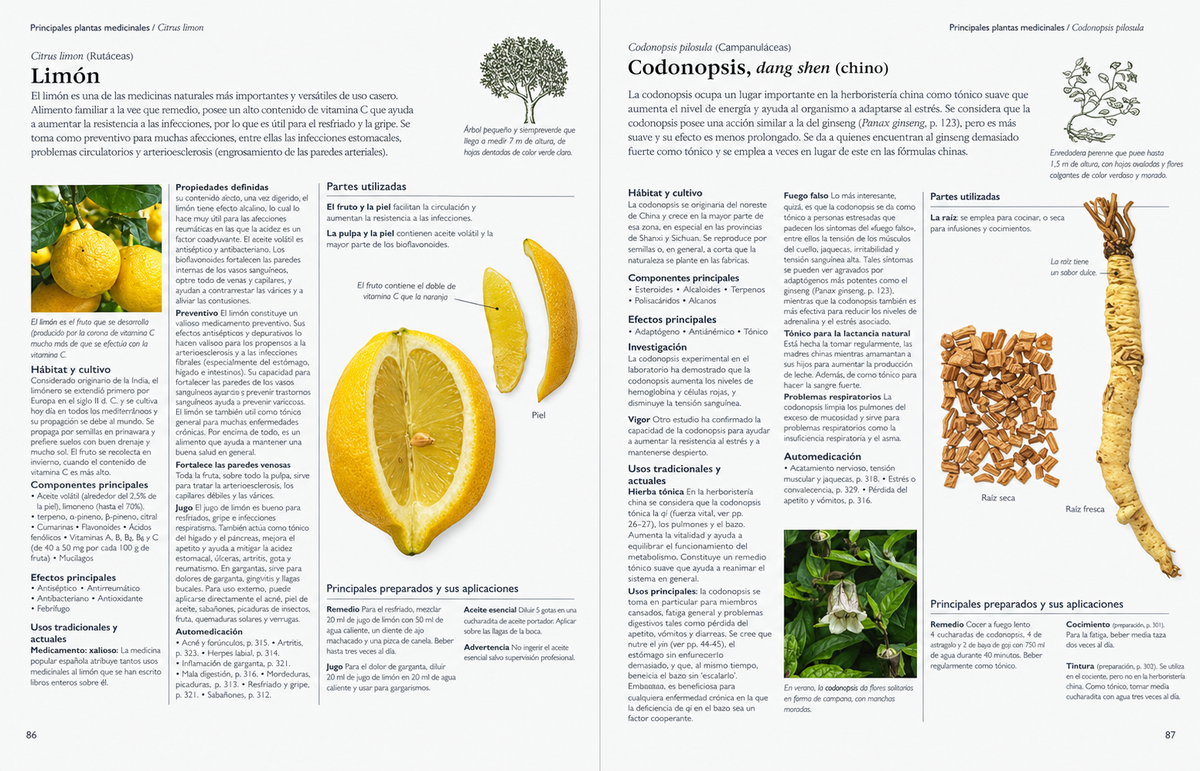 Enciclopedia de plantas medicinales
