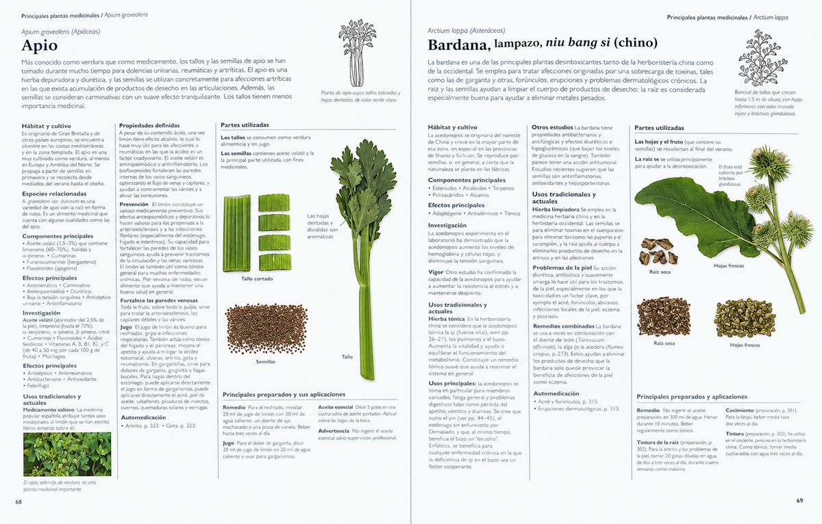 Enciclopedia de plantas medicinales