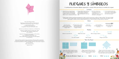 Origami de flores