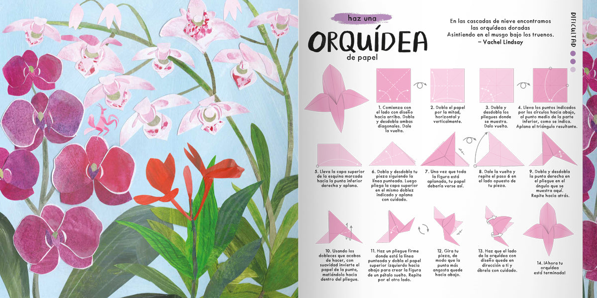 Origami de flores