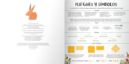 Origami de la naturaleza