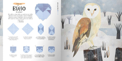 Origami de la naturaleza