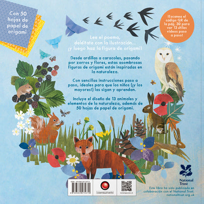 Origami de la naturaleza