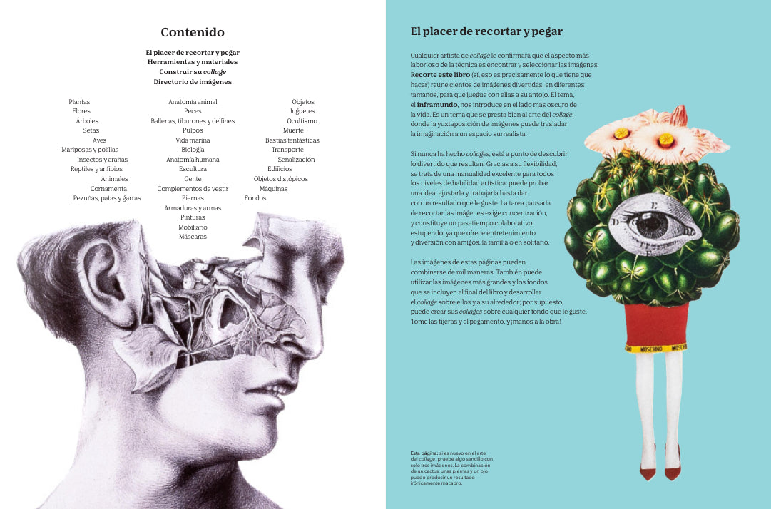 Recorte este libro y cree su propio inframundo