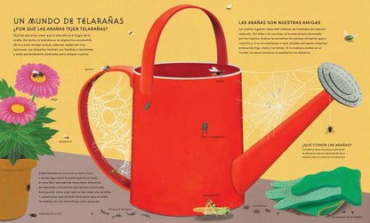 El mundo secreto de las telas de araña