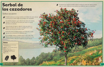 Árboles. Tesoros de conocimiento