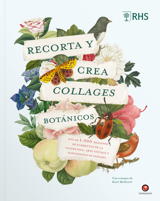 Recorta y crea collages botánicos