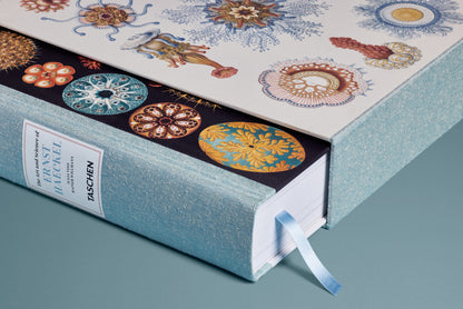 The Art and Science of Ernst Haeckel