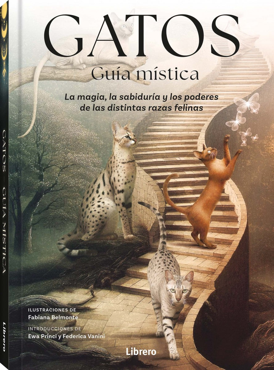 Gatos. Guía mística