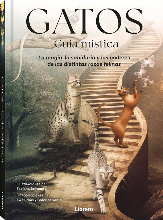 Gatos. Guía mística